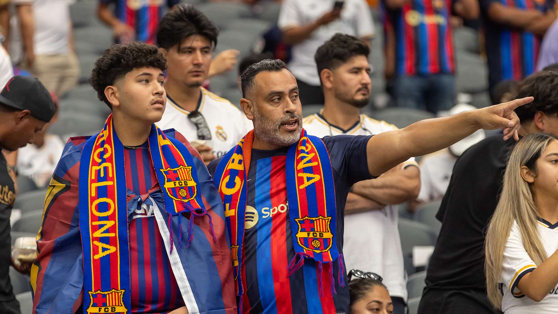 球迷文化的 球迷文化的